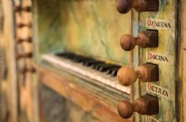 CONVOCATORIA PREMIO DE MUSICOLOGÍA 2025